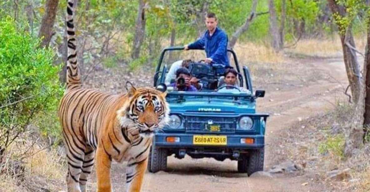 06 Days Golden Triangle Tour with Ranthambore Safari - Key Highlights You’ll Feel Immediately