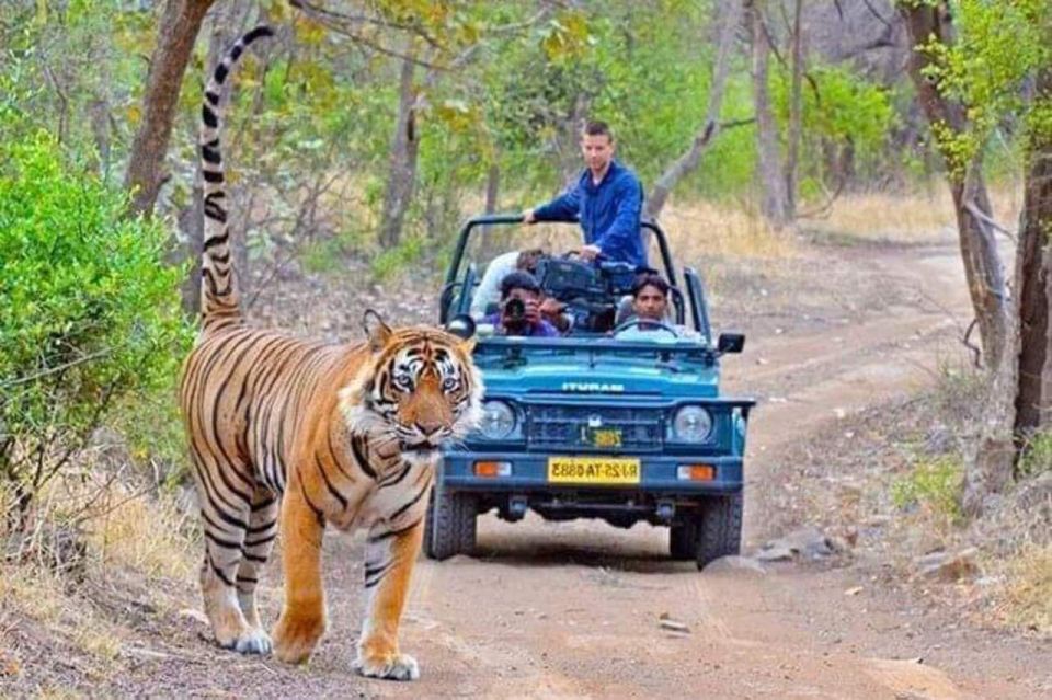 06 Days Golden Triangle Tour with Ranthambore Safari - How This Tour Actually Plays: Your 6-Day Route, Day by Day