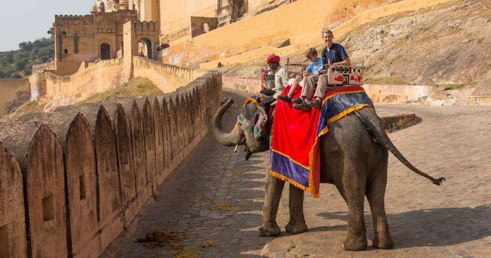 06 Days Golden Triangle Tour with Ranthambore Safari - Ranthambore Safari: What You’re Really Buying With Two Sessions
