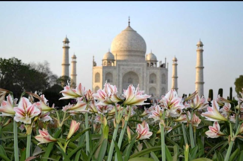 06 Days Golden Triangle Tour with Ranthambore Safari - The Driver + Guide Factor: Why This Tour Feels Easier Than DIY