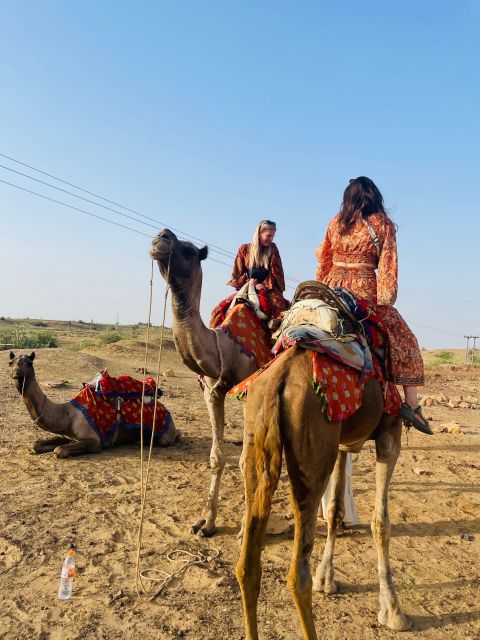 1 night 2 days Thar Desert Experience Jaisalmer - Return transfer to Jaisalmer: what happens after the desert night