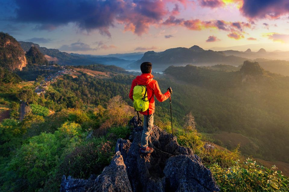 A Day in Munnar: Nature, Culture, and Local Flavor - Key highlights worth planning around