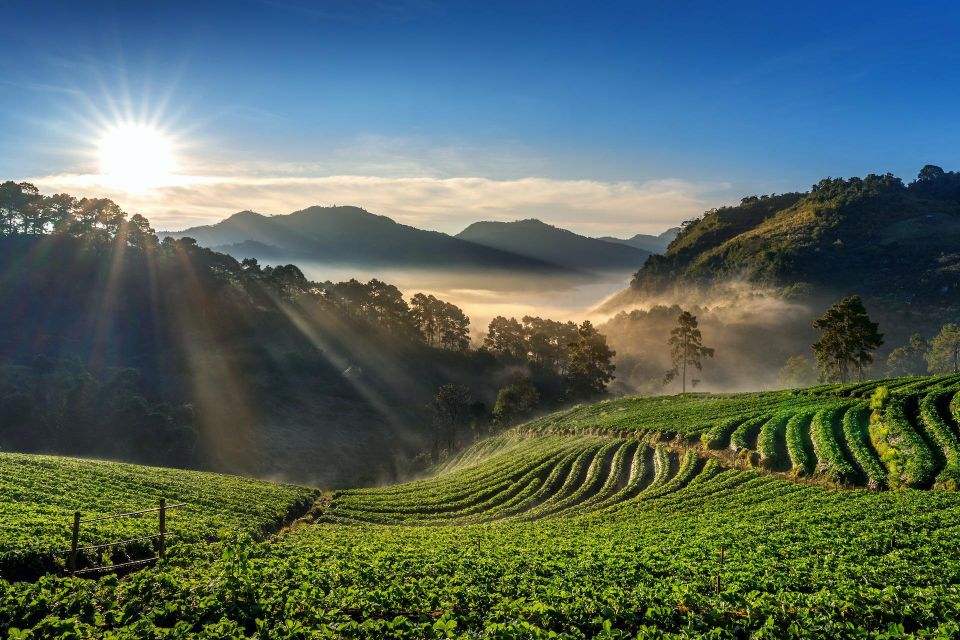 A Day in Munnar: Nature, Culture, and Local Flavor - Old Munnar town by Tuk Tuk: churches, colonial buildings, and daily life