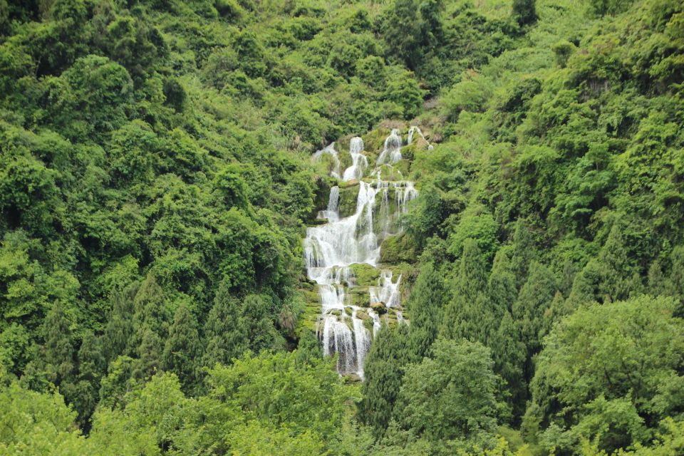 A Day in Munnar: Nature, Culture, and Local Flavor - Price and logistics: $112 for an 8-hour private day