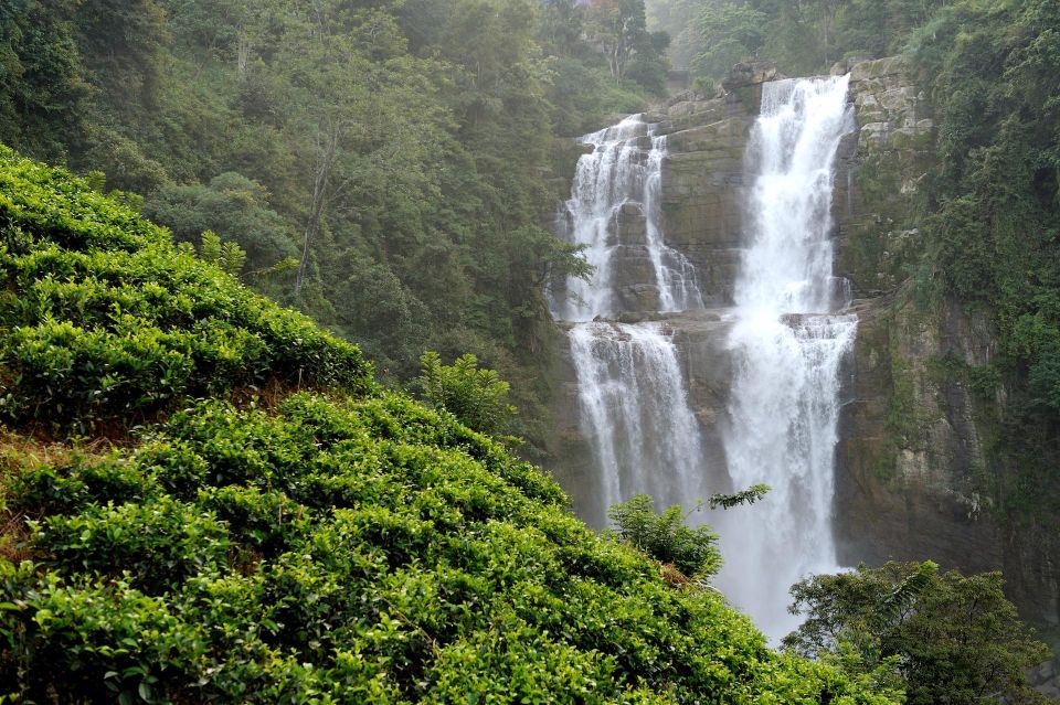 A Day in Munnar: Nature, Culture, and Local Flavor - Should you book this Munnar day tour?