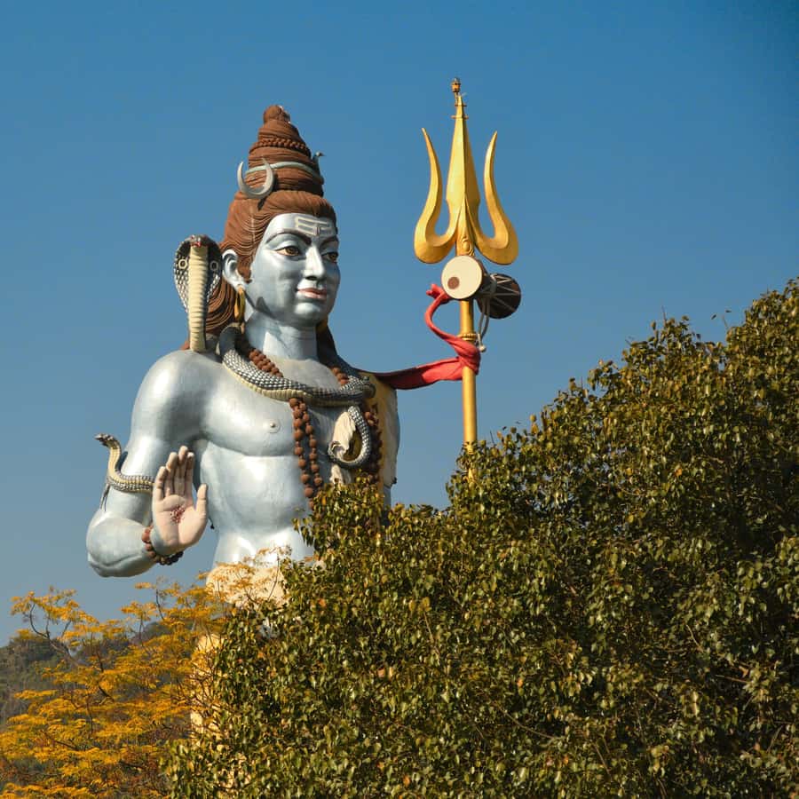 A Divine Day Out: Haridwar Sightseeing Tour - Should you book this Haridwar Sightseeing Tour?