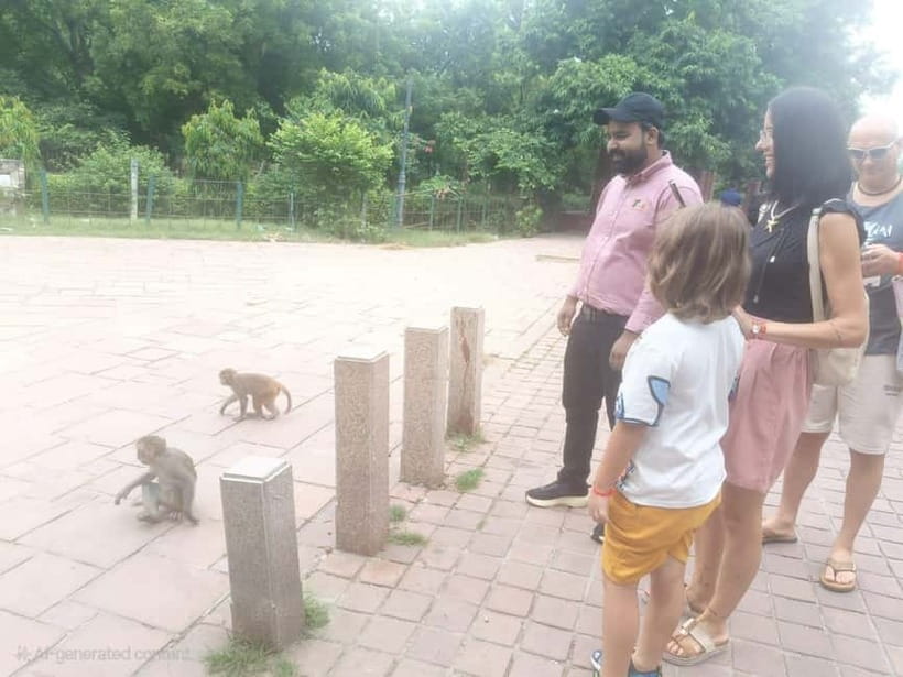 Agra: Monkey Safari Guided Walking Tour - Photography moments: how to get safe, sharp shots on crowded streets