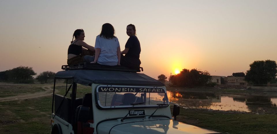 All-Day Desert Safari with Cultural Program - Jeep safari and dune bashing: thrill with a guided eye
