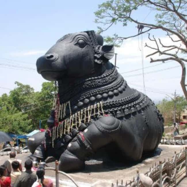 Bangalore City Tour: Lalbagh, Tipu Palace & Bull Temple - Price and value at about $74 for 8 hours