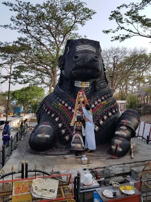 Bangalore City Tour: Walking, Palace & Temples - Bangalore Palace: what to expect from the palace segment