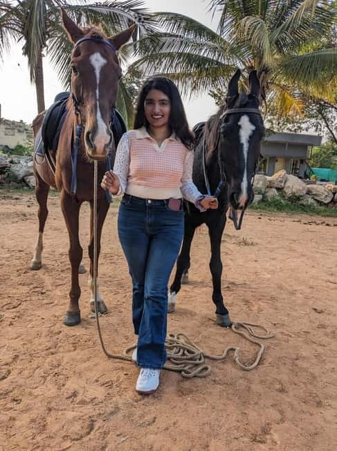 Bangalore: Horse Riding Safari Tour - Getting to know your horse: feeding, brushing, and trust-building