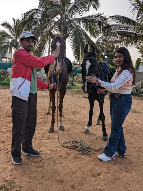 Bangalore: Horse Riding Safari Tour - How to prepare: comfortable clothes, shoes, and bug protection