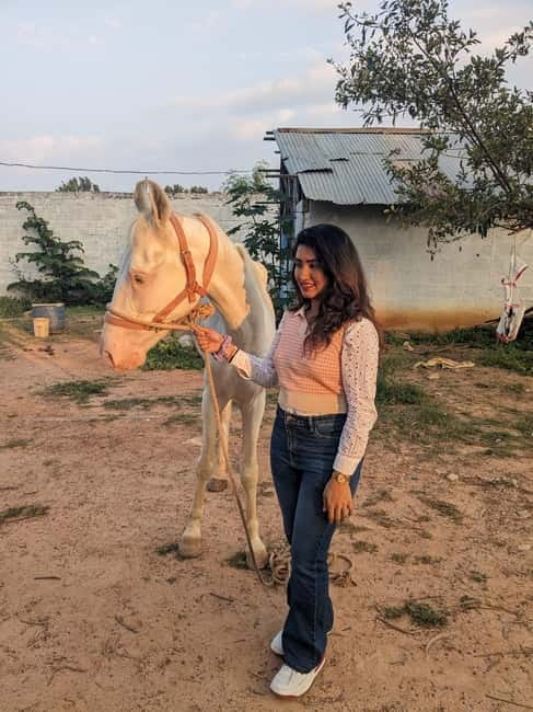 Bangalore: Horse Riding Safari Tour - Entering the experience: pickup, meet point, and the 4-hour rhythm