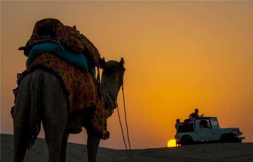 Blissful Half Day Sunset Camel Safari with Musical Evening - Pure veg buffet dinner: what you should know before you go