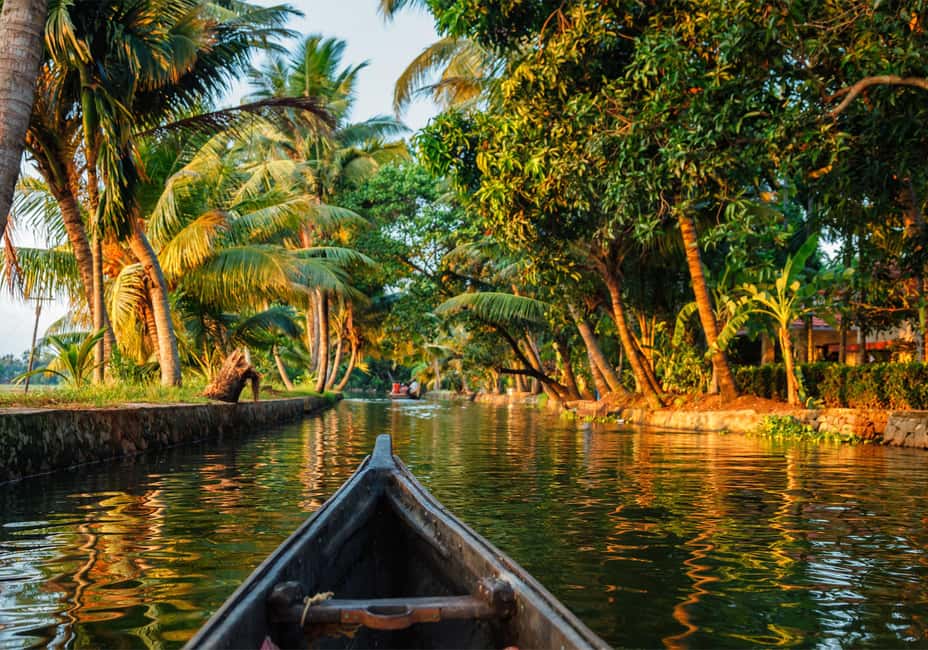 Cochin: 5-Day Kerala Tour with Munnar, Thekkady and Alleppey - Day 4 to Alleppey: overnight houseboat cruising on the backwaters