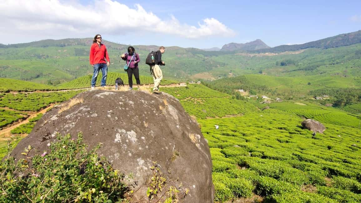 Cochin: 5-Day Private Tour of Munnar, Alleppey & Backwaters - Arriving in Cochin and heading straight for Munnar’s waterfalls