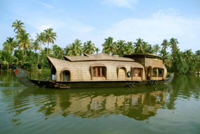 Cochin: 5-Day Private Tour of Munnar, Alleppey & Backwaters - Munnar’s Eravikulam National Park: the day Nilgiri Tahr steal the show