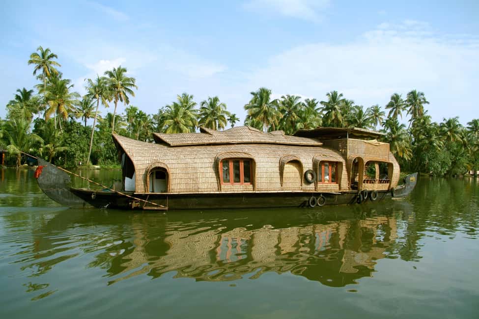 Cochin: 5-Day Private Tour of Munnar, Alleppey & Backwaters - Munnar’s Eravikulam National Park: the day Nilgiri Tahr steal the show