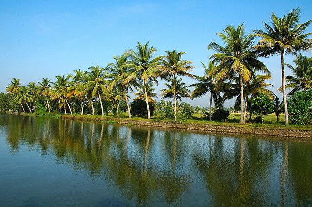 Cochin : Alleppey/Alappuzha Backwater Canoe (Shikara) Cruise - Entering Alleppey’s backwaters the way locals do