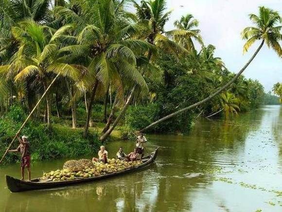 Cochin : Alleppey/Alappuzha Backwater Canoe (Shikara) Cruise - The day schedule: Cochin pickup, transfer, and your 3-hour water time