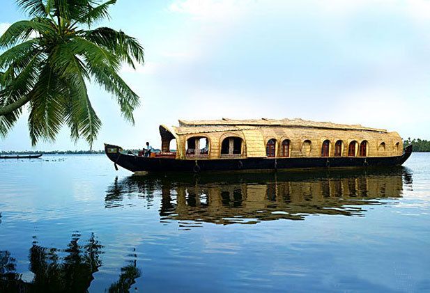 Cochin: Alleppey Backwater Private Day Cruise by Houseboat - Kerala backwaters, but with houseboat calm
