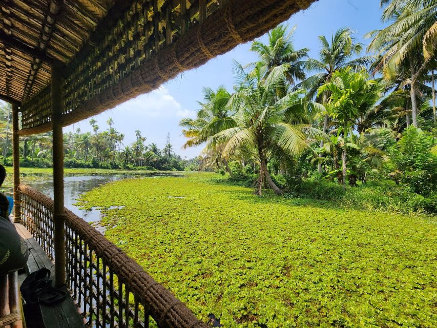 Cochin: Backwater Village Eco Boat Cruise with Lunch - Non-mechanized backwaters: what makes this cruise feel different