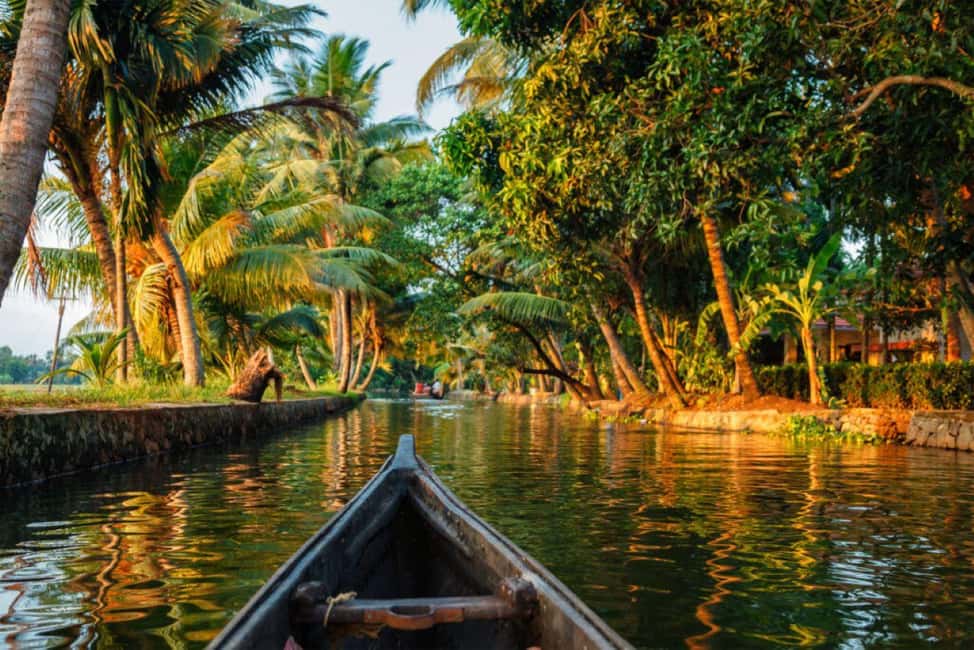Cochin Backwaters Tour: Eco Boat Ride & Traditional Lunch - Wildlife Spotting on Kerala Canals (What’s Realistic to Expect)
