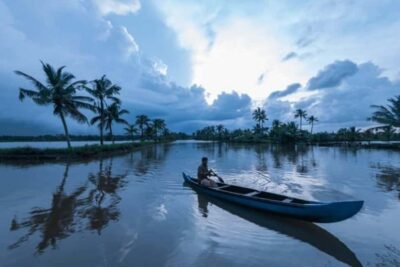 Cochin Backwaters Tour: Eco Boat Ride & Traditional Lunch - Traditional Covered Country Boats: Comfort, Shade, and Real Quiet