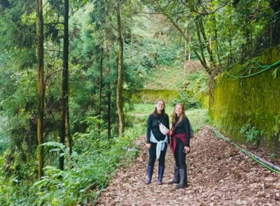 Darjeeling Cultural & Nature Walking Guided Tour - Starting at Mall Road: How the Morning Gets You Oriented