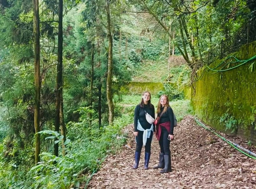 Darjeeling Cultural & Nature Walking Guided Tour - Starting at Mall Road: How the Morning Gets You Oriented