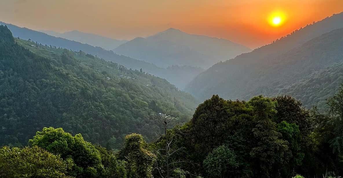 Darjeeling: Tiger Hill Sunrise Hike – Guided Day Trip - The first hike leg: pine forest to Jorbanglow, plus that homestay breakfast