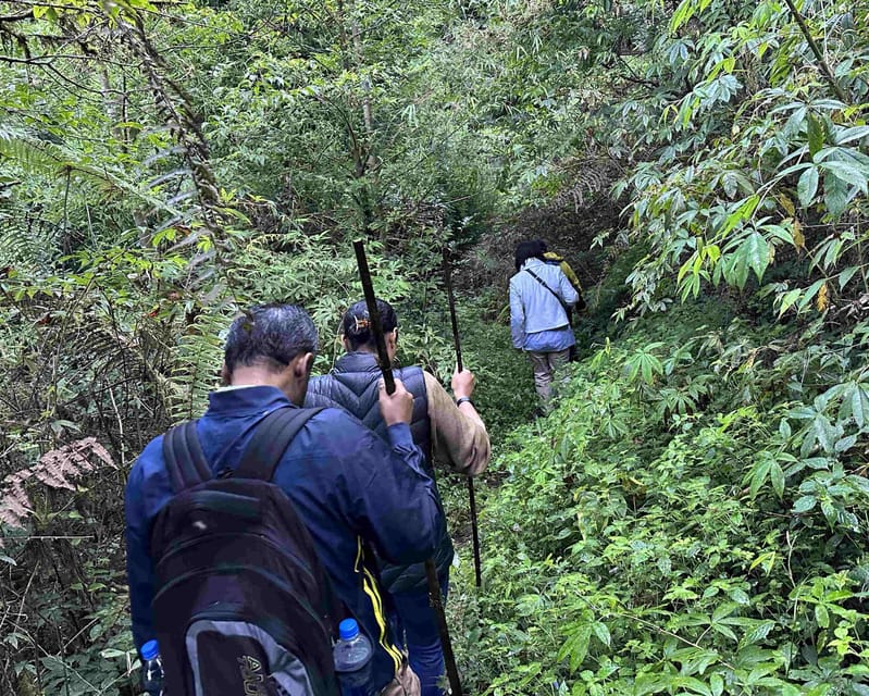 Darjeeling: Tiger Hill Sunrise Hike – Guided Day Trip - Guide quality and small-group comfort on a steep-time schedule