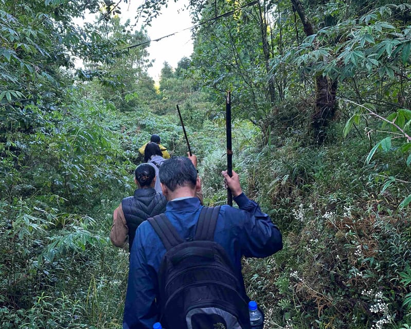 Darjeeling: Tiger Hill Sunrise Hike – Guided Day Trip - Price and value: is $87 fair for this sunrise hike?
