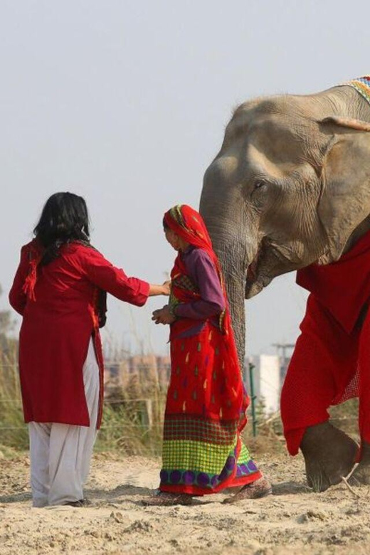 Delhi: 3Day Golden Triangle with Elephant SOS (5 Star Hotel) - Key Points to Know Before You Go