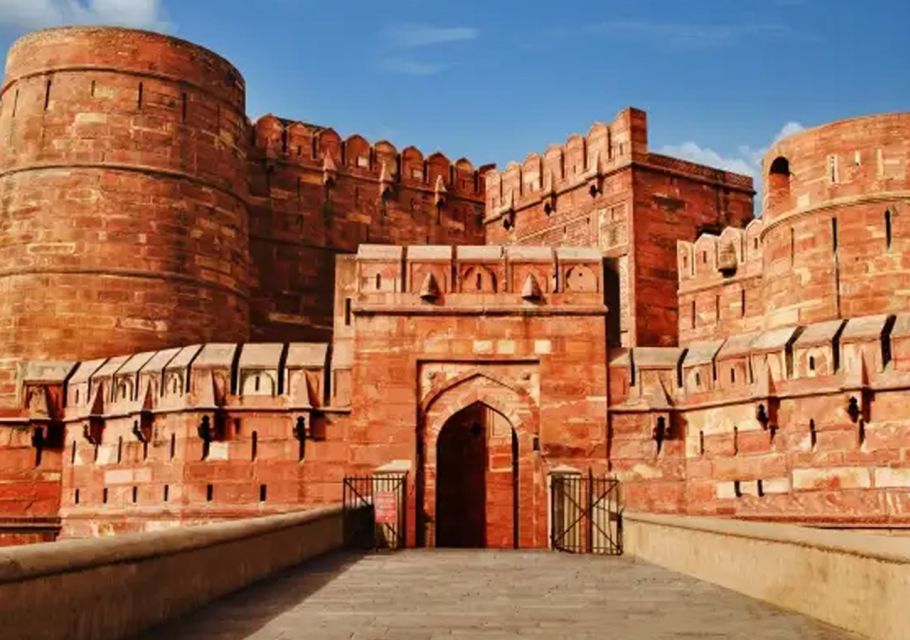 Delhi-Agra-Jaipur Golden Triangle Multiday trip with Safari - Ranthambore tiger safari: what the tiger chase really means