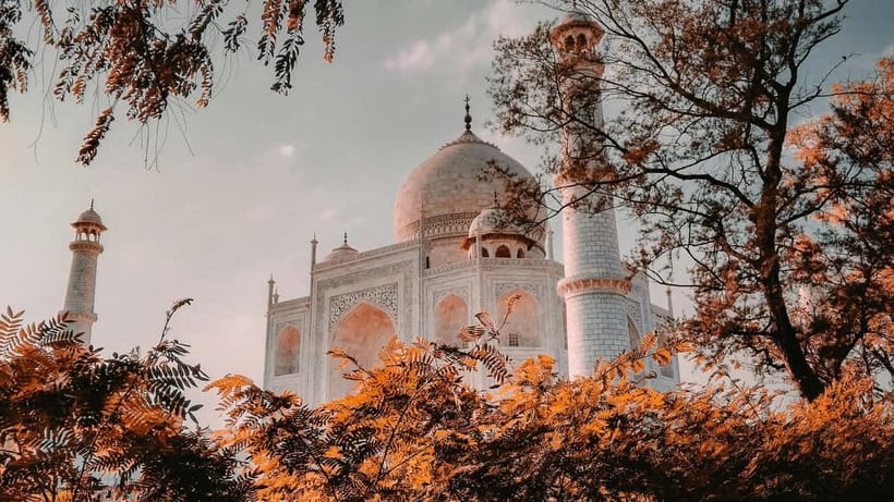 Delhi Airport to Taj Mahal Tour Instant Booking - From Delhi Airport to Agra Fort and Back: the value of a tight schedule