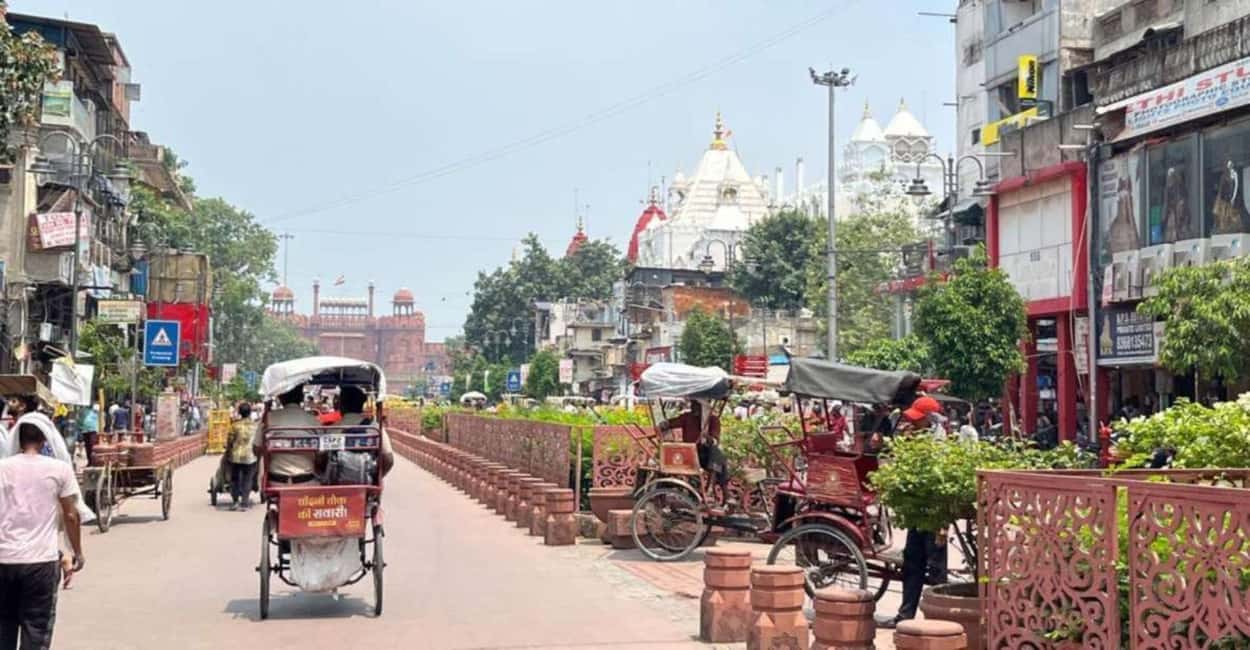Delhi: All-Inclusive Full or Half Day Tour With Hotel Pickup - Presidential House and Parliament Drive-By: What You’ll Notice From the Road