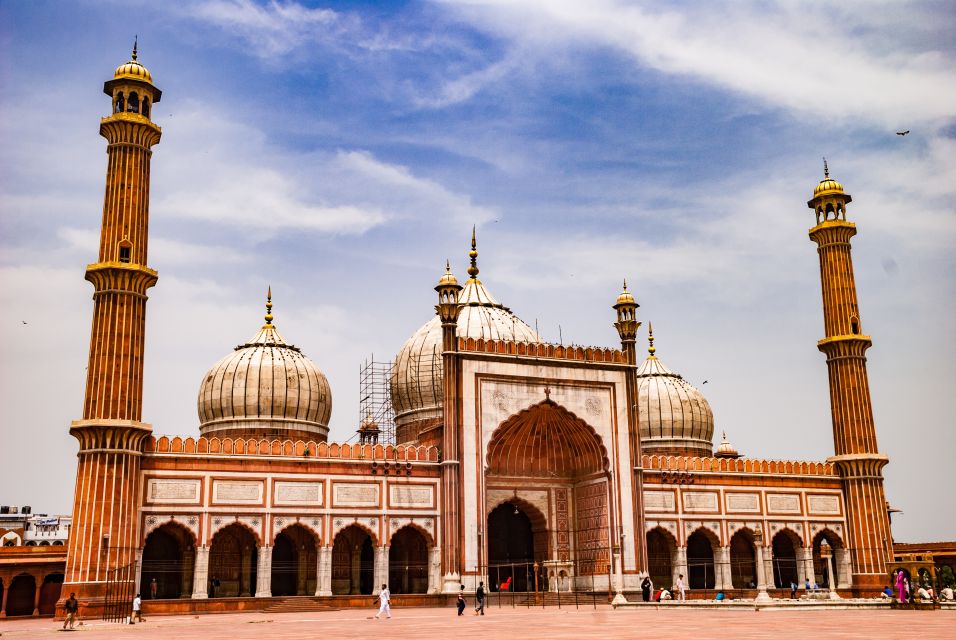 Delhi: Old and New Delhi Sightseeing Private Day Tour - India Gate and a drive through diplomatic Delhi