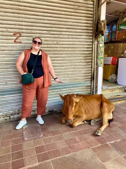 Delhi: Old Delhi's Street Food, Temples & Spice Market Tour - Key Things to Know About This Old Delhi Tour
