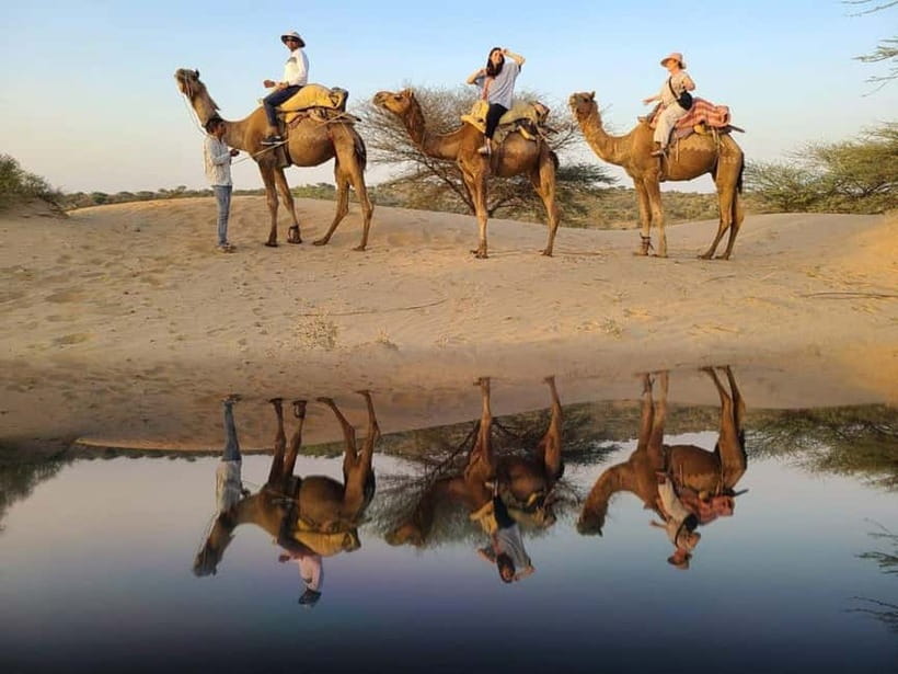 Desert Camel Safari Day Tour In Jodhpur - Sachiya Mata Temple in Osian: A Calm Stop Before the Desert