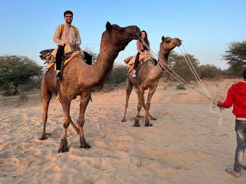Desert Camel Safari Day Trip From Jodhpur - Camel Safari in the Thar Desert: what 45 to 60 minutes is really like