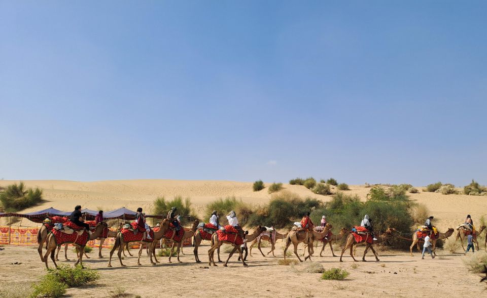 Desert Rose Jaisalmer: Luxury Tent In Thar Desert - Luxury Tent Camping in the Thar: What This Experience Really Feels Like