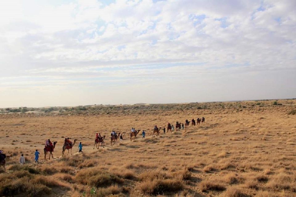 Desert Rose Jaisalmer: Overnight Stay Middle of Thar Desert - Day 2 sunrise: tea, breakfast, and one last camel rhythm