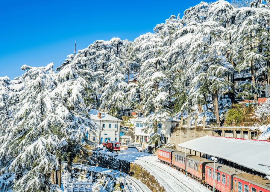 Discover the Colonial Trails of Shimla- Guided Walking Tour - Himachal State Museum: Coins, Paintings, and Pahari-Inspired Art