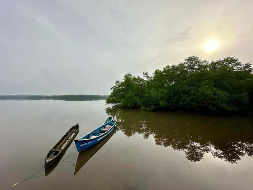 Divar Island Excursion with a Native Islander - Temples, churches, chapels, and a hilltop viewpoint
