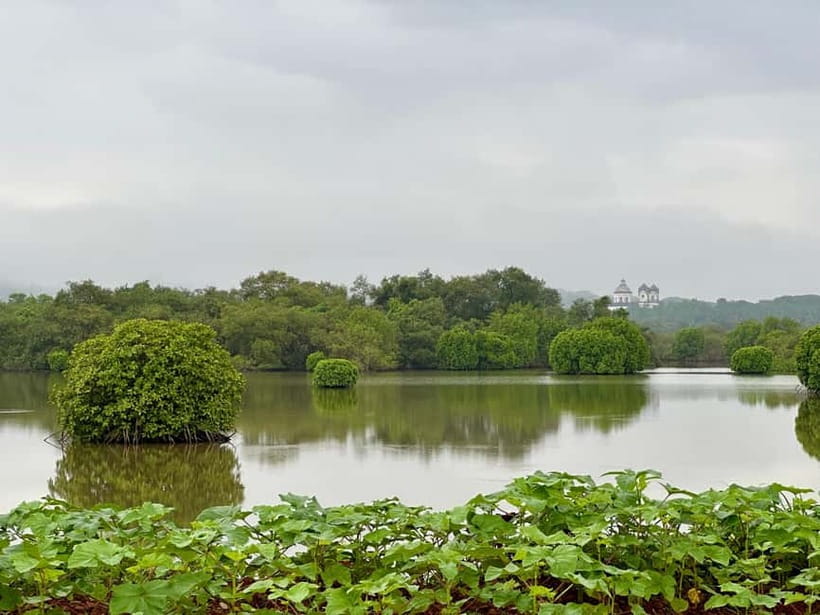 Divar Island Excursion with a Native Islander - River boat time: slowing down on the water