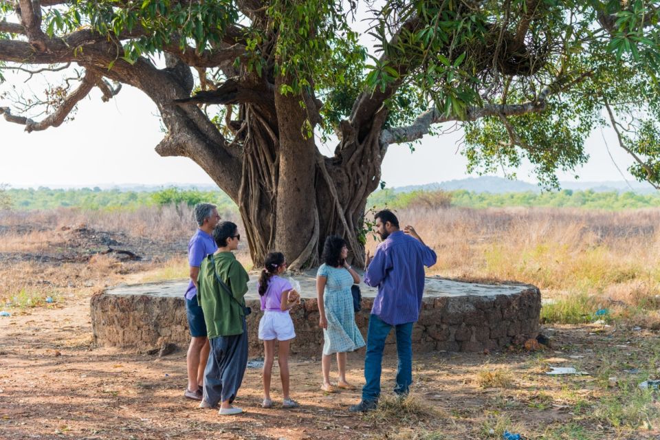 Divar Island: Local Goan Village Tour with Traditional Lunch - Starting at the Ferry: Meet Your Guide and Get Your Bearings Fast