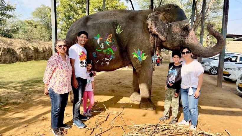Elefun Best Elephant Sanctuary in Jaipur - Price and Value: Is $60 Worth It?