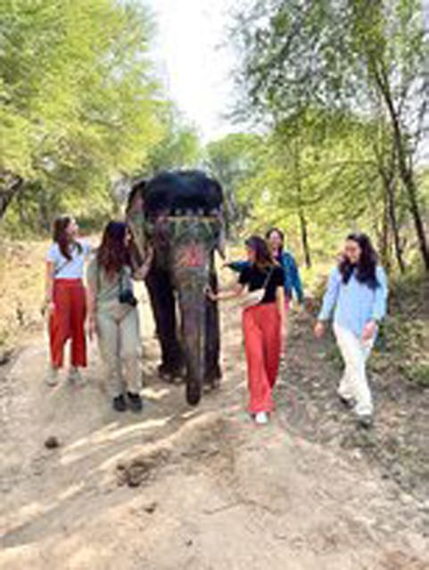 Elephant Sanctuary for Best elephant experience in Jaipur - First you’re picked up, then you meet sanctuary life in Jaipur