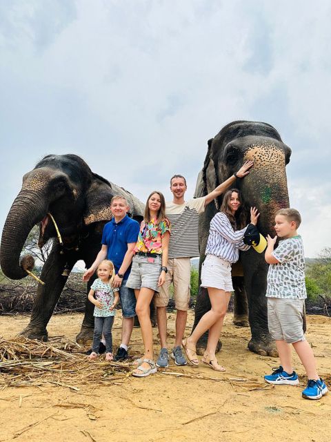 Elephant Sanctuary for Best elephant experience in Jaipur - What you actually do with elephants (and the names people remember)